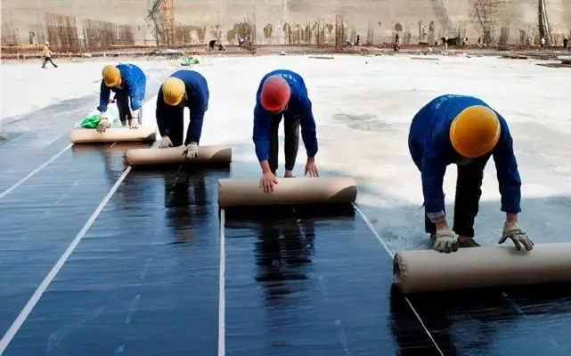 Innovative gene to create